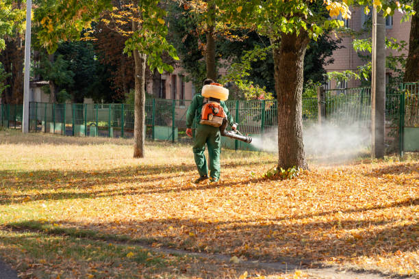 Best Wasp Removal Services  in Forest Park, GA