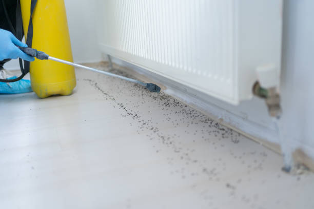 Best Termite Control Services  in Forest Park, GA