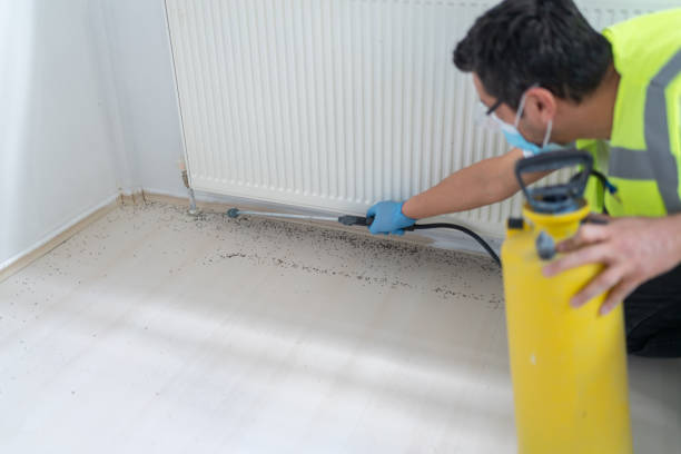 Best Exterminator Services  in Forest Park, GA