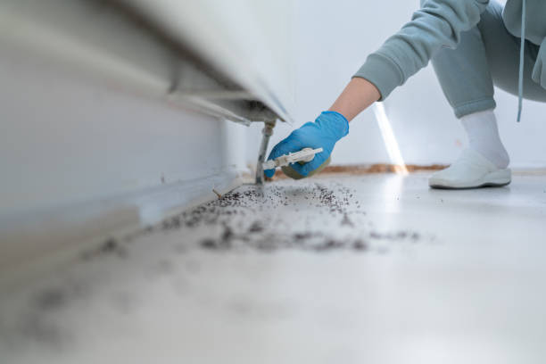 Best Ant Control Services  in Forest Park, GA
