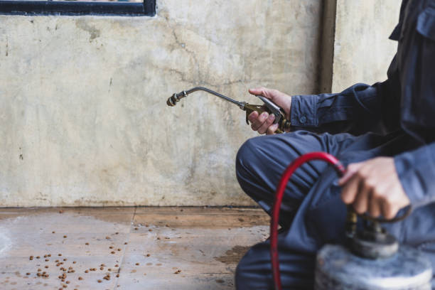 Professional Pest Control in Forest Park, GA