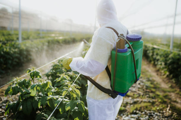 Best Local Pest Control Services  in Forest Park, GA